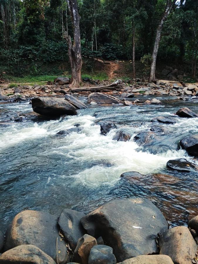 מדיקרי Coorg River Rock Camping מראה חיצוני תמונה