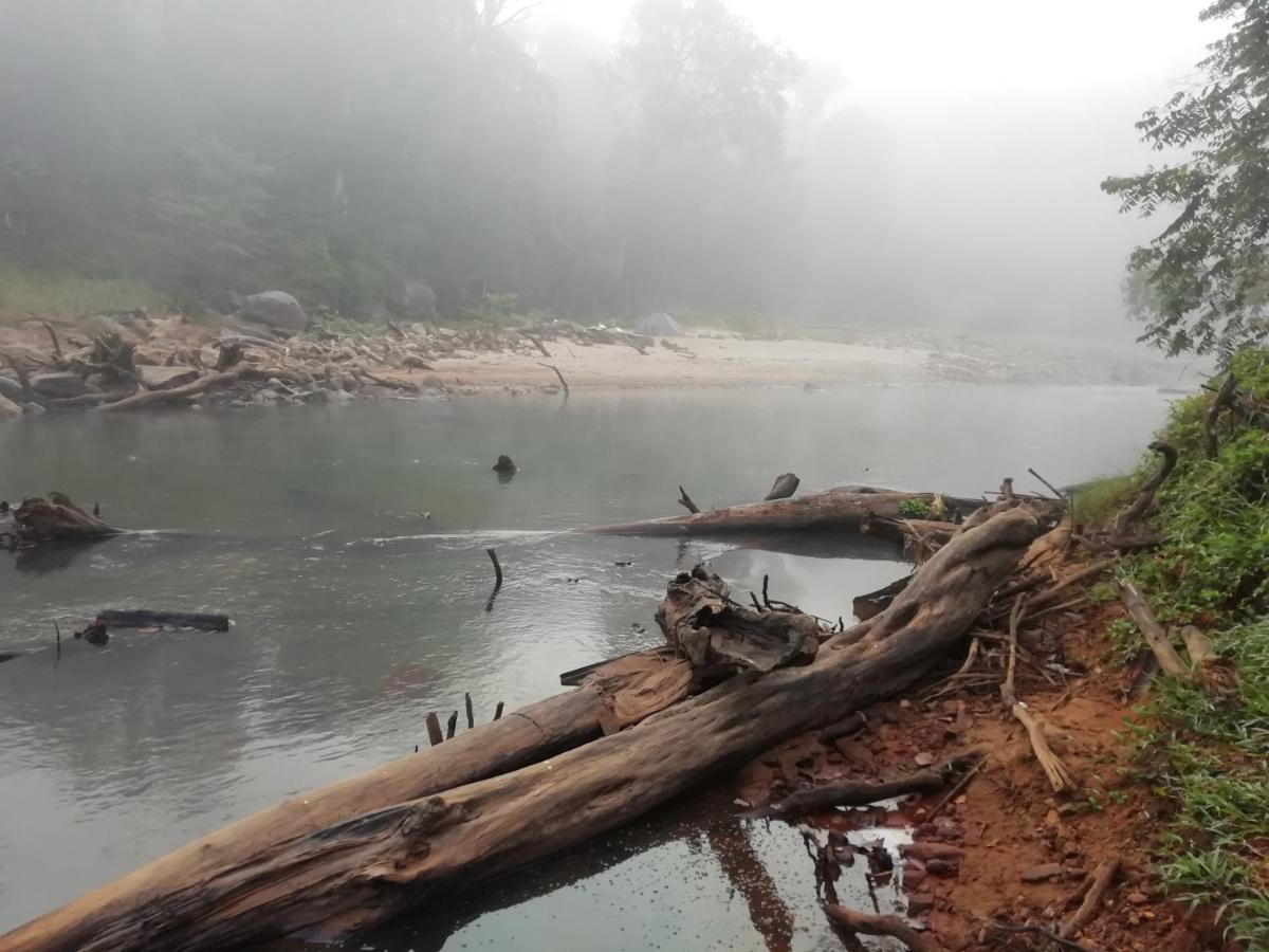 מדיקרי Coorg River Rock Camping מראה חיצוני תמונה