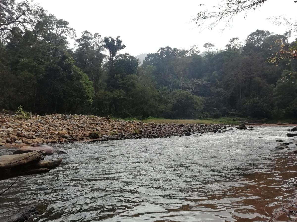 מדיקרי Coorg River Rock Camping מראה חיצוני תמונה